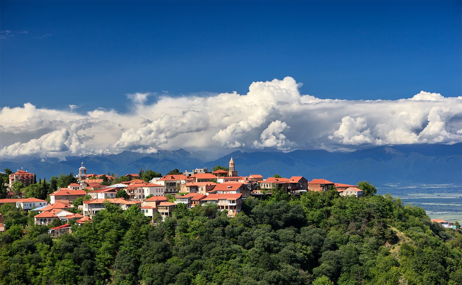 Kakheti Wine & Legends Quest
